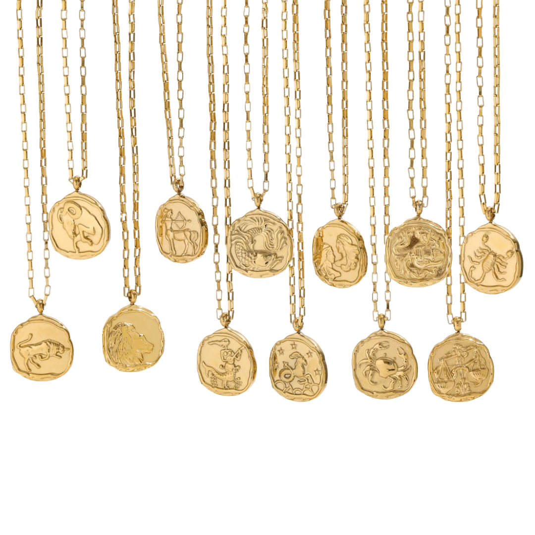 ZODIAC COIN NECKLACE henrigirl